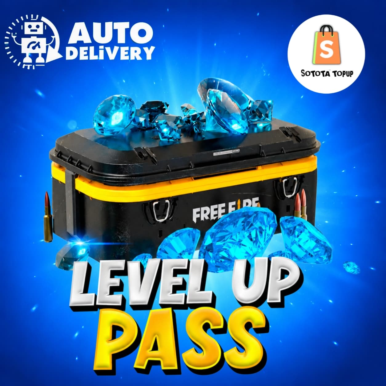 Level Up Packages